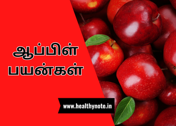 ஆப்பிள் பயன்கள்