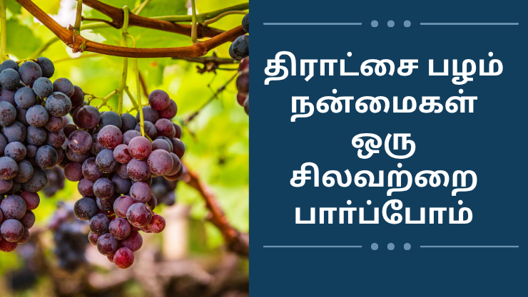 திராட்சை பழம் நன்மைகள் ஒரு சிலவற்றை பாா்ப்போம் / Benefits of Grapes