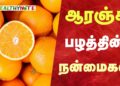 ஆரஞ்சு பழத்தின் நன்மைகள்