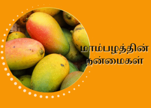 மாம்பழத்தின் நன்மைகள்