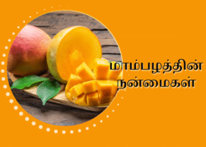 மாம்பழத்தின் நன்மைகள்