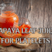 Papaya Leaf Juice Dosage for Low Platelet Count