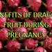 Benefits of Dragon Fruit During Pregnancy