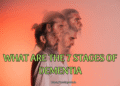 What are the 7 stages of dementia