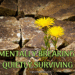 Mentally Breaking, Quietly Surviving