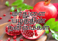 மாதுளை பழத்தின் நன்மைகள் – தினமும் சாப்பிட்டால் கிடைக்கும் அற்புத ஆரோக்கிய பலன்கள்