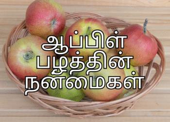 ஆப்பிள் பழத்தின் நன்மைகள் – தினமும் சாப்பிட்டால் கிடைக்கும் ஆரோக்கிய ரகசியங்கள் - Apple Benefits in Tamil