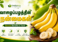 வாழைப்பழத்தின் நன்மைகள் | Banana Benefits in Tamil