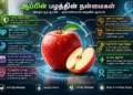 ஆப்பிள் பழத்தின் நன்மைகள் என்னென்ன